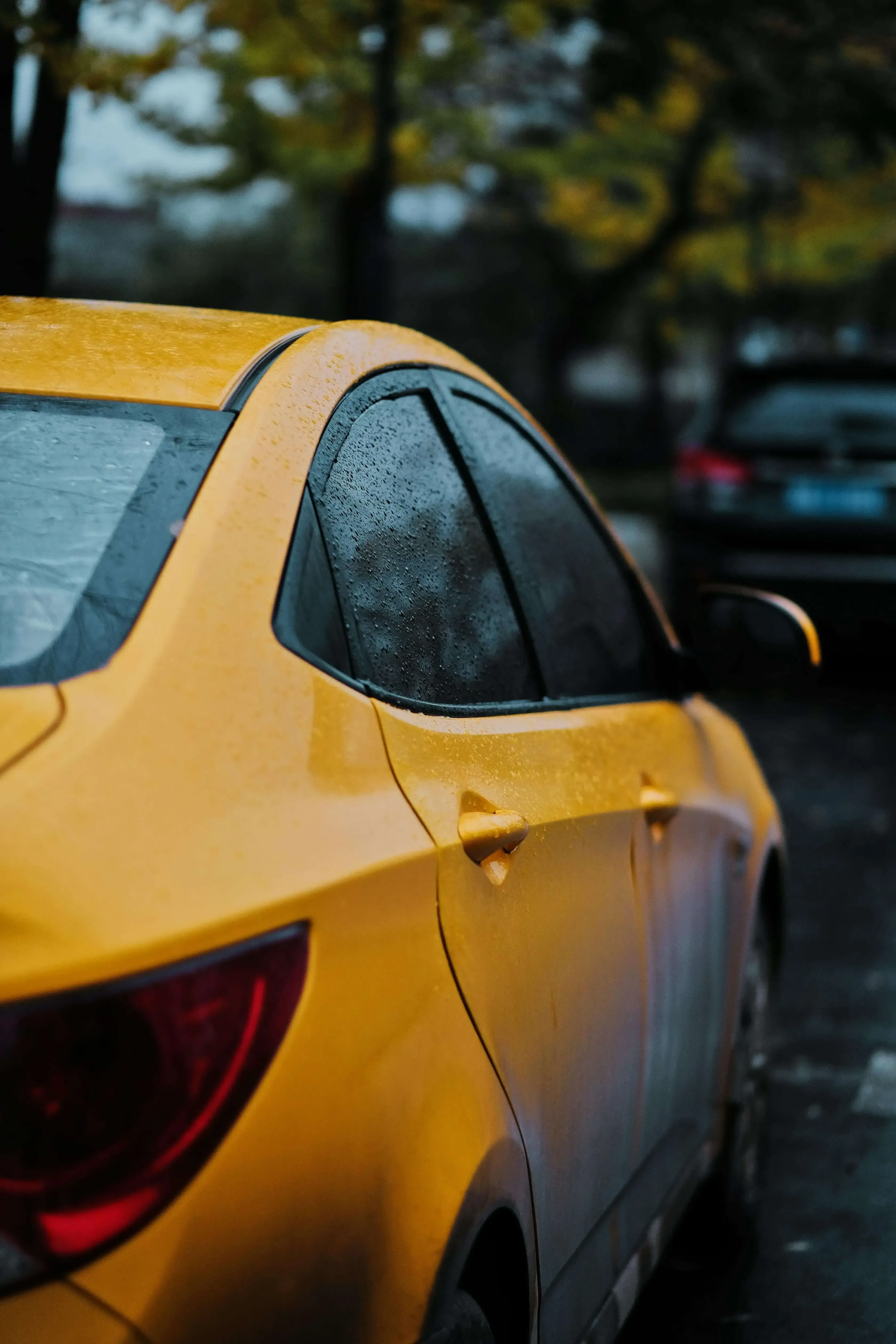 Paint Correction and Interior Detail